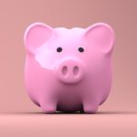 piggy bank, money, finance-2889042.jpg